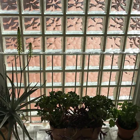 Mi Casa Your דירה *