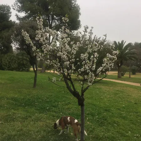 דירה Mi Casa Your *